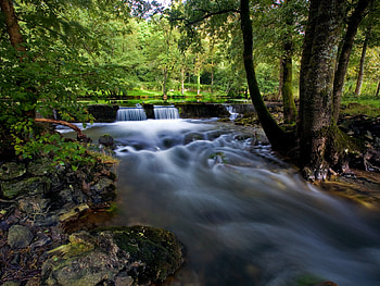 river, trees, forest HD wallpaper