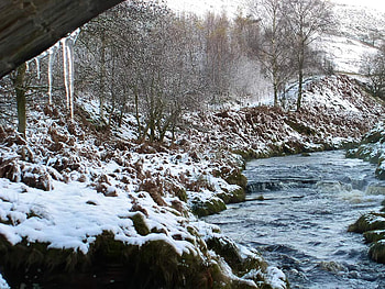 Snowy Winter Stream, winter, water, rocks, stream HD wallpaper