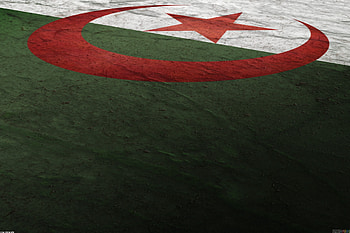 Algerian flag , Patriotic pride, National symbol, Red and green HD wallpaper