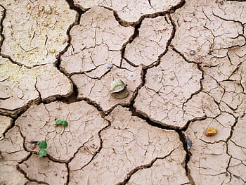 Close-up of cracked dry earth with minimal vegetation, symbolizing drought. HD wallpaper