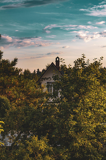 Nature, Trees, Sky, Bush, Building, House HD phone wallpaper