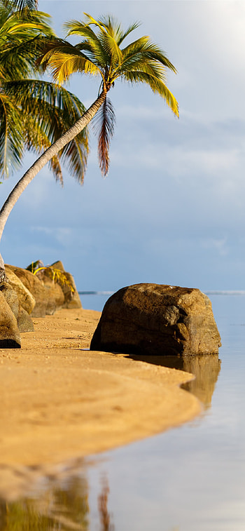 Best Puerto Rico , Vibrant colors, Scenic beauty, Island charm HD phone wallpaper