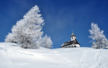*** Winter ***, winter, blue, snow, sky, nature HD wallpaper