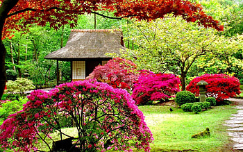 Park in Spring, trees, blossoms, path, cabin HD wallpaper