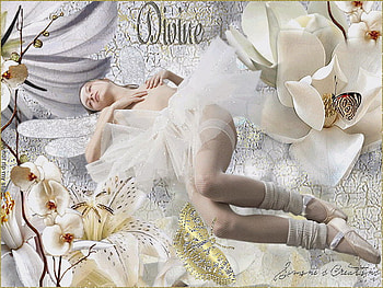 divine, orchid, white, butterfly, gold HD wallpaper