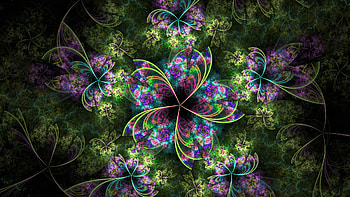Mandala HD wallpaper
