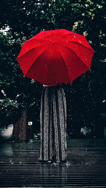 graphy, umbrella HD phone wallpaper
