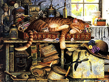 Ginger, cats, shed, sleep HD wallpaper