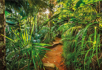 jungle, Diverse vegetation, Enchanting landscapes, Tropical paradise HD wallpaper