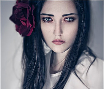 English Rose, rose, girl, white, red HD wallpaper