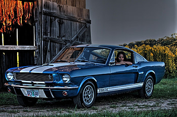ford mustang shelby gt350, ford, mustang, barn, shelby HD wallpaper