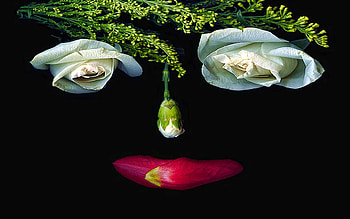 The Despair, rose, loving, abstract, caring, face, shape, romantic, beauty HD wallpaper