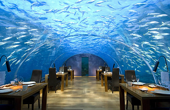 Interior, Miscellanea, Miscellaneous, Tropics, Cafe, Café, Maldives HD wallpaper