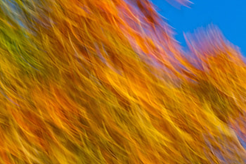 Abstract, Texture, Form, Color HD wallpaper