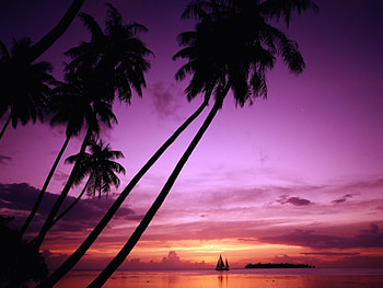 Landscape, Nature, Sunset, Violet HD wallpaper