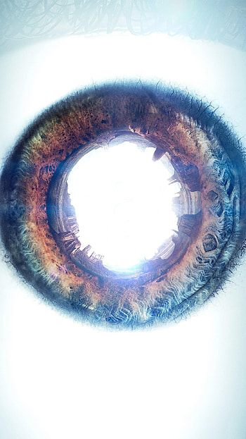 Westworld (2022) movie HD phone wallpaper