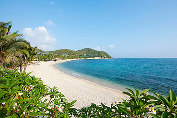 Nature, Beach, Palms, Shore, Bank, Rest, Relaxation, Tropics HD wallpaper