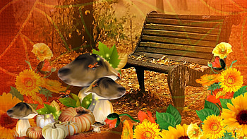 Ladybugs Tag - Bright Fall Day Autumn Flowers Harvest Ladybugs Mushrooms Gourds Fleurs Pumpkin October Thanksgiving HD wallpaper