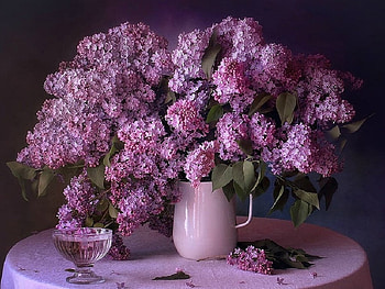 beautiful purple lilacs, lilacs, still life, beautiful, abstract HD wallpaper