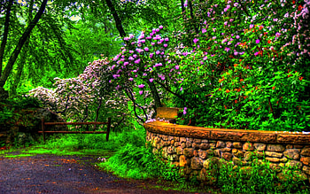 Dream Spring 2012 - spring beauty - 96881 HD wallpaper