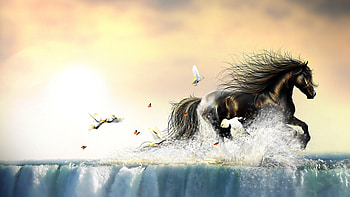:-), horse, birds, art, fantasy, snow HD wallpaper