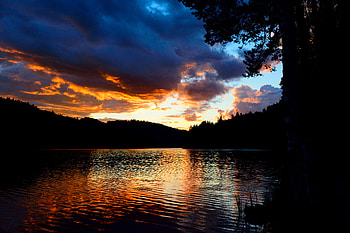 Nature, Trees, Sunset, Twilight, Lake, Glare, Dusk HD wallpaper