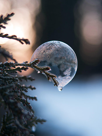 Ice, Macro, Branch, Bubble HD phone wallpaper