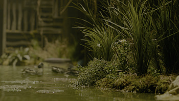 The Last Of Us (2023), TV Show, The Last Of Us HD wallpaper
