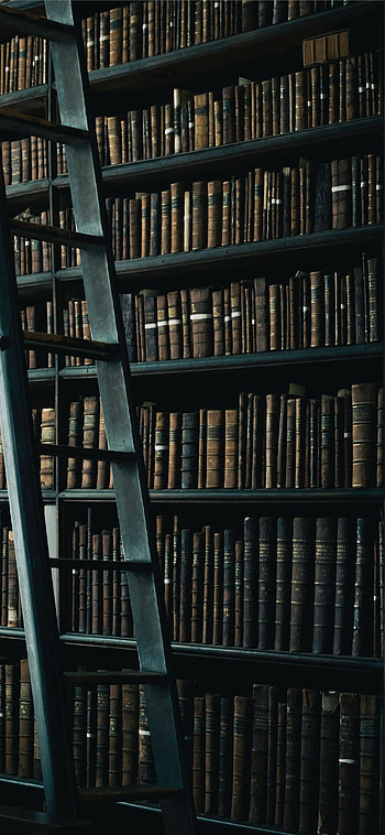 Library, Shelf, Ladder HD phone wallpaper