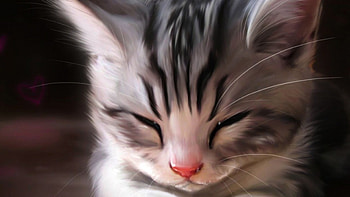 Cat, kitten, kitty, cats, cute, sleepy, sleeping, beauty, animals, hat, sweet, beautiful, paws, cat face, pretty, face, lovely HD wallpaper