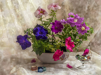 Still Life-flowers-, purple, glass, beautiful, flowers HD wallpaper