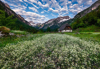 Zadnja Trenta Valley, Julian Alps, Slovenia, sky, mountains, blossoms, wildflowers, house, clouds HD wallpaper