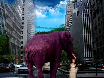 ParisPinkDream, city, paris, elephant, dream HD wallpaper