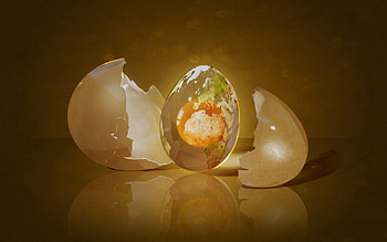 Shine, Light, 3D, Form, Shell, Egg HD wallpaper