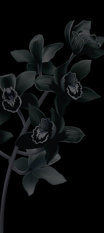 Pixel 6 bloom black, Google, apple, art, petal, dark, anime, Android, latest HD phone wallpaper