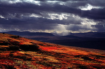 Autumn Colours Norway, grey blue, clouds, light rays, red HD wallpaper