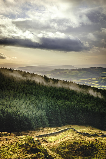 Landscape, Nature, Trees, Mountains, Clouds, Forest, Overview, Review HD phone wallpaper