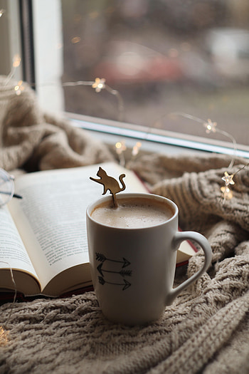 Coffee, Miscellanea, Miscellaneous, Cup, Garland, Book, Coziness, Comfort, Mug, Plaid HD phone wallpaper