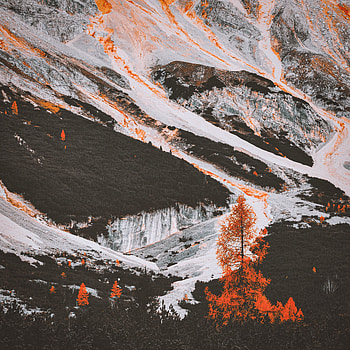 Landscape, Nature, Trees, Mountains, Stone, Slopes HD phone wallpaper