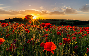 Amazing Views, Cool Nature , Nature For Samsung, Landscape HD wallpaper