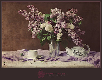 Moments of Life, still life, teacup, lilacs, flowers, teapot HD wallpaper