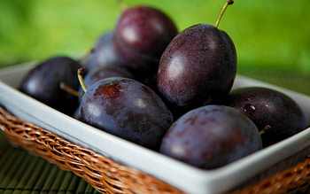 Close-up plum fruit HD wallpaper