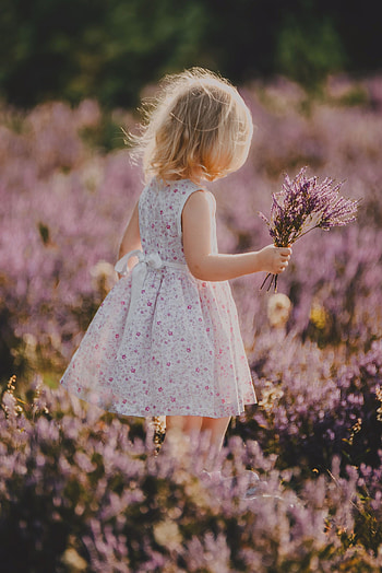 Flowers, Miscellanea, Miscellaneous, Bouquet, Field, Child, Lavender HD phone wallpaper