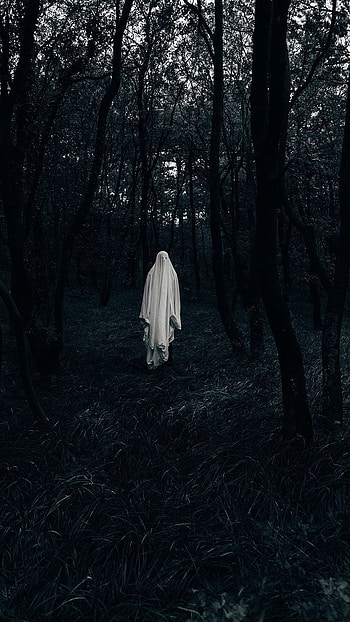 Ghost, White Ghost In Forest, Horror HD phone wallpaper