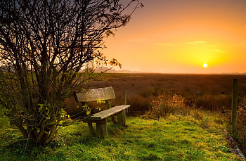 Rest at sunrise, place, sunlight, glow, sunrise, shine, amazing, sunshine, bench, golden, meadow, beautiful, grass, orange, rest, field, light, nature, sky, lovely HD wallpaper