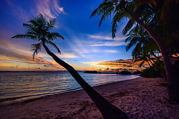 Captivating tropical sunset on a tranquil beach in the Maldives, perfect for a serene vacation. HD wallpaper