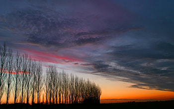 POR DO SOL, alaranjado, sol, natureza, arvores HD wallpaper