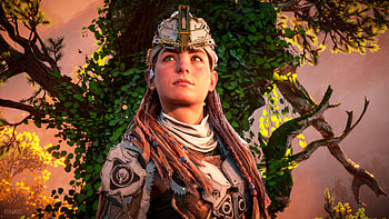 Horizon Forbidden West / Looking West, Horizon Forbidden West, Aloy (Horizon Series) HD wallpaper
