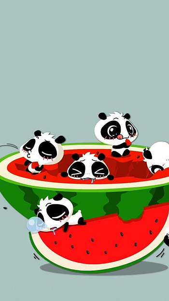 Panda watermelon, panda HD phone wallpaper