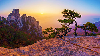 A hazy but still beautiful morning above Seoul, South Korea, South Korea, trees, sky, rocks, sunrise, landscape HD wallpaper